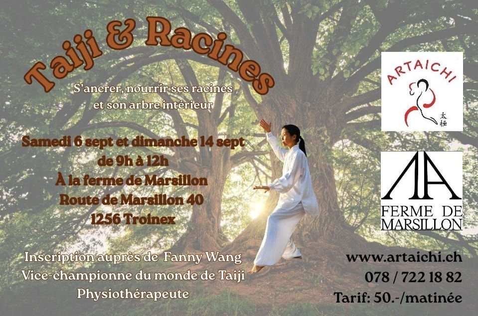 Taichi stage 1
